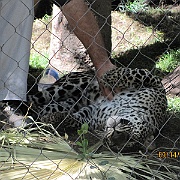 Picture 115